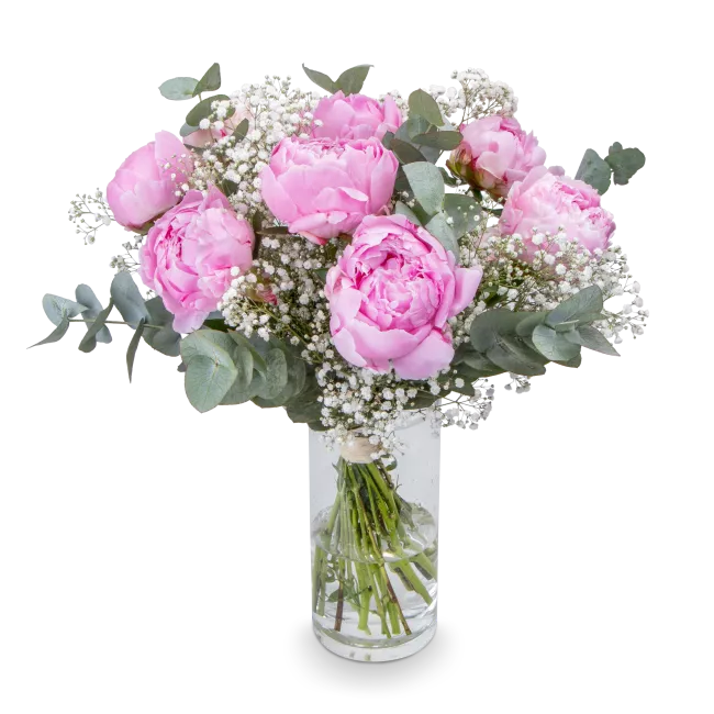 Kytice růžových pivoněk